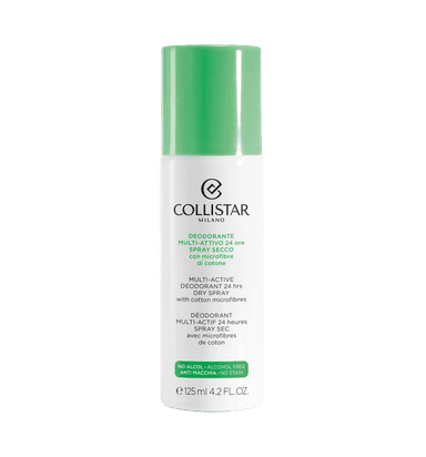 Multi-Active 24 Hour Deo Dry Spray item