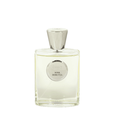 Rosa Dorotea EDP item