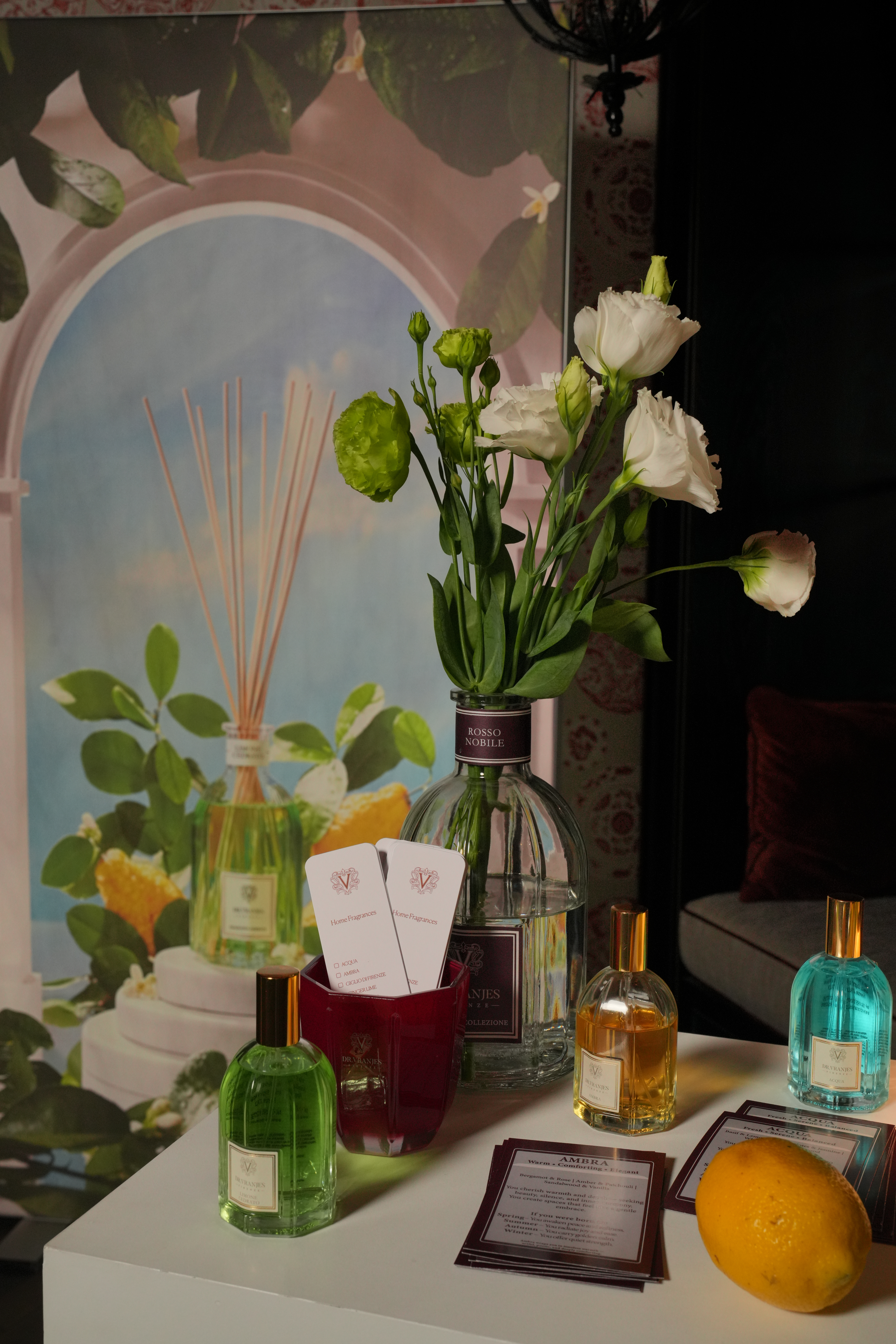 Ընթրիք Dr. Vranjes-ի հետ