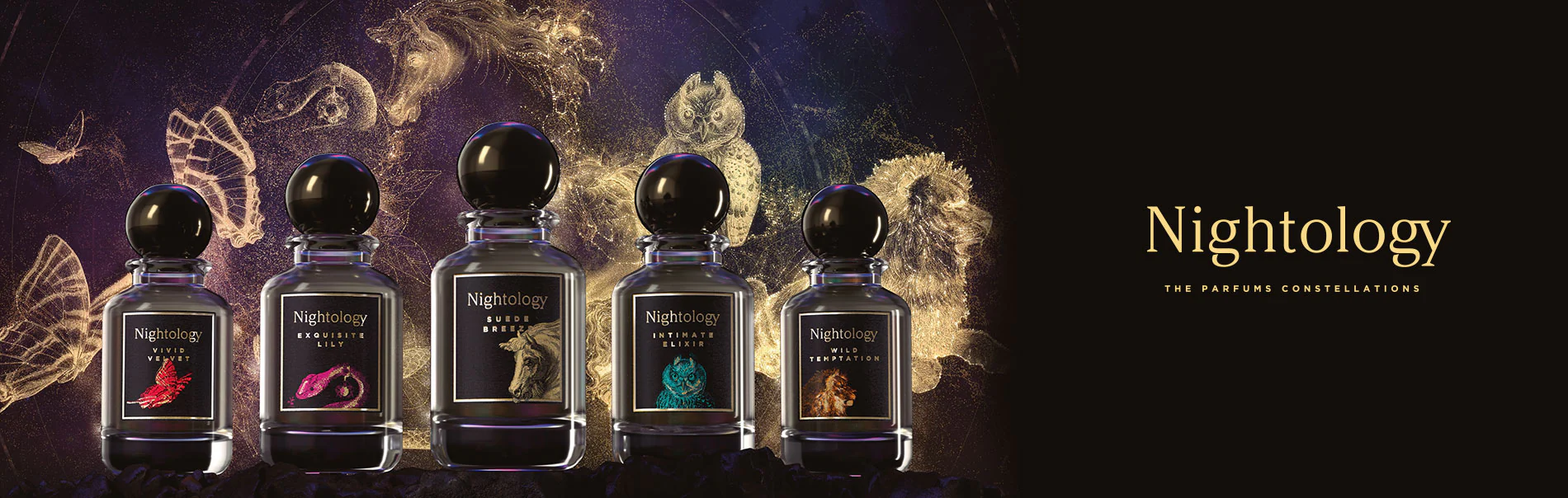 NIGHTOLOGY