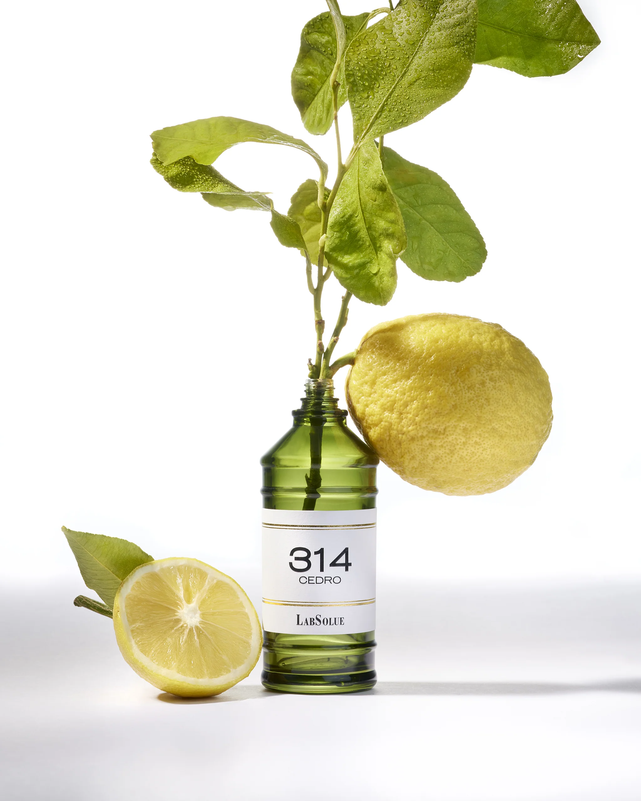 314 Cedro Eau De Parfum  image 2