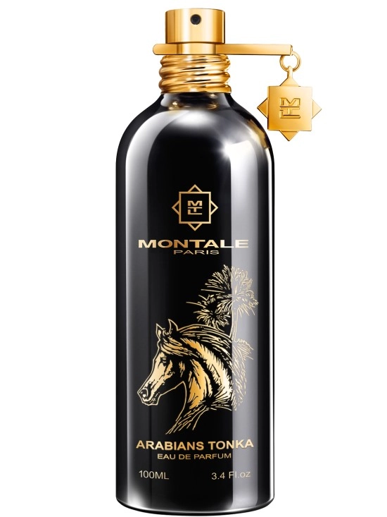 Arabians Tonka image 1