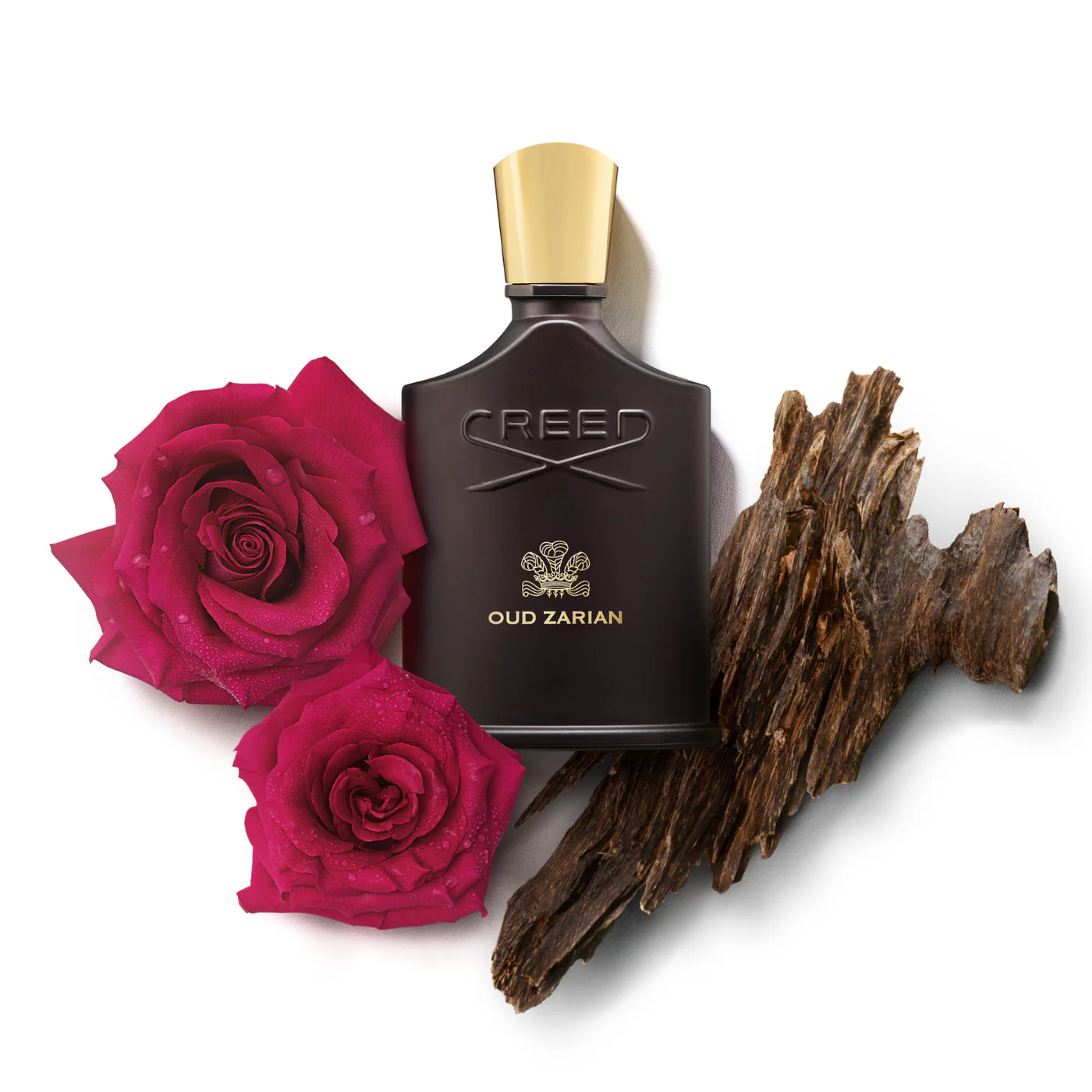 Oud Zarian image 3