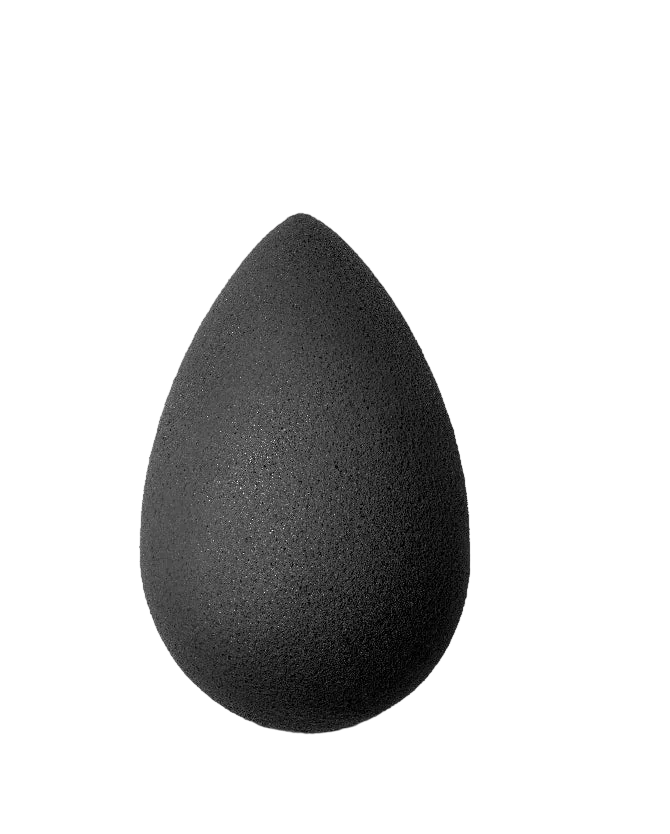 Beauty Blender Pro