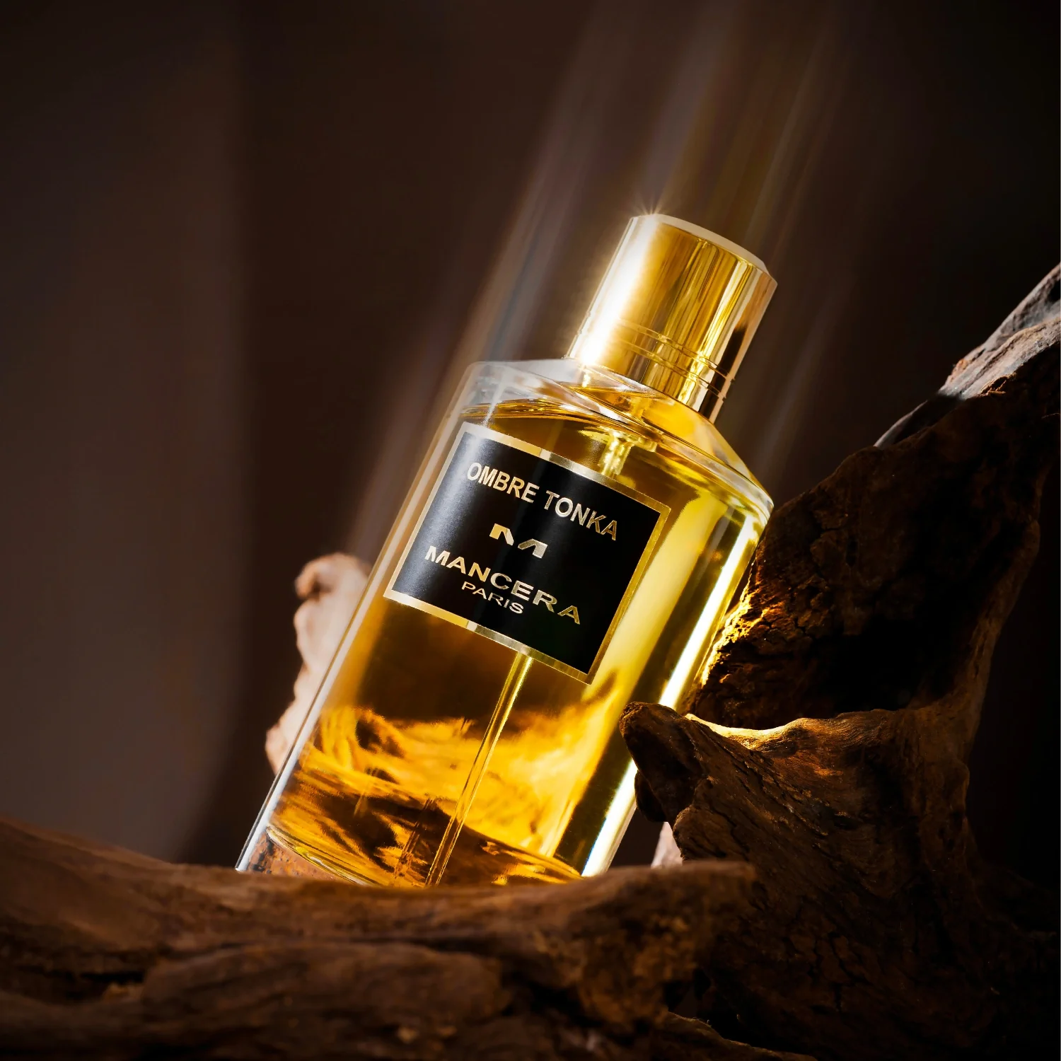 Ombre Tonka image 3