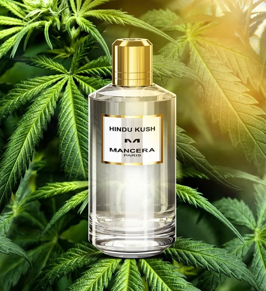 Hindu Kush image 2