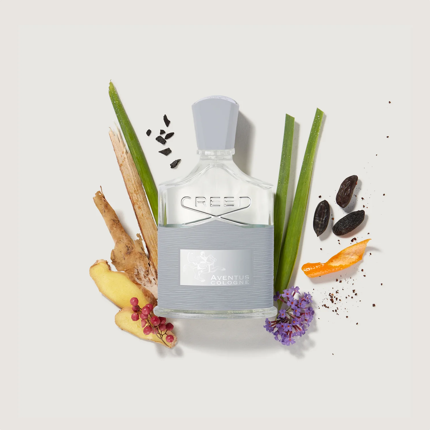 Aventus Cologne image 2