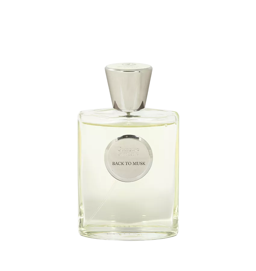 Back To Musk EDP