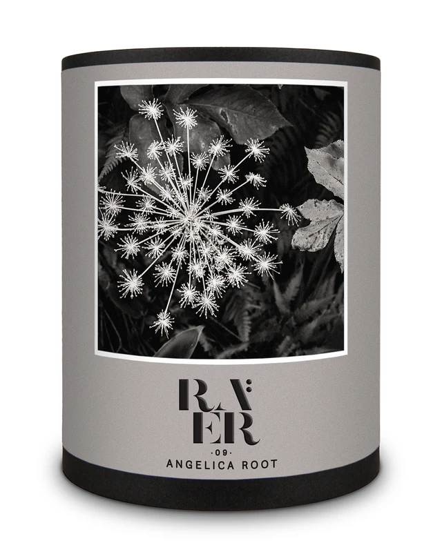Raer 09 Angelica Root image 2